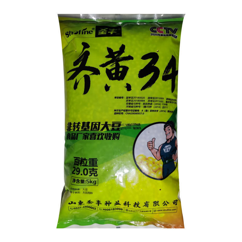 齐黄34黄豆种子早黄豆种子特大高产早熟抗病农家自种大豆种