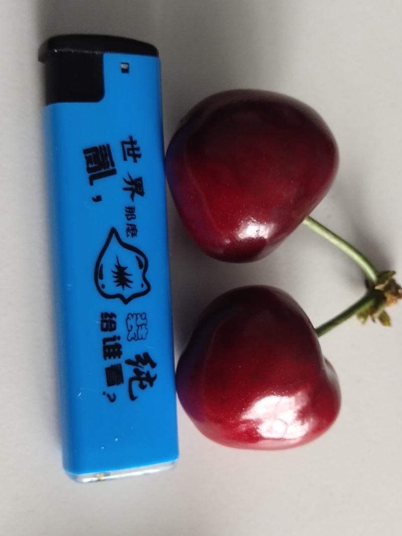 陕西澄城美早樱桃大量现货各种樱桃品种齐全基地直发