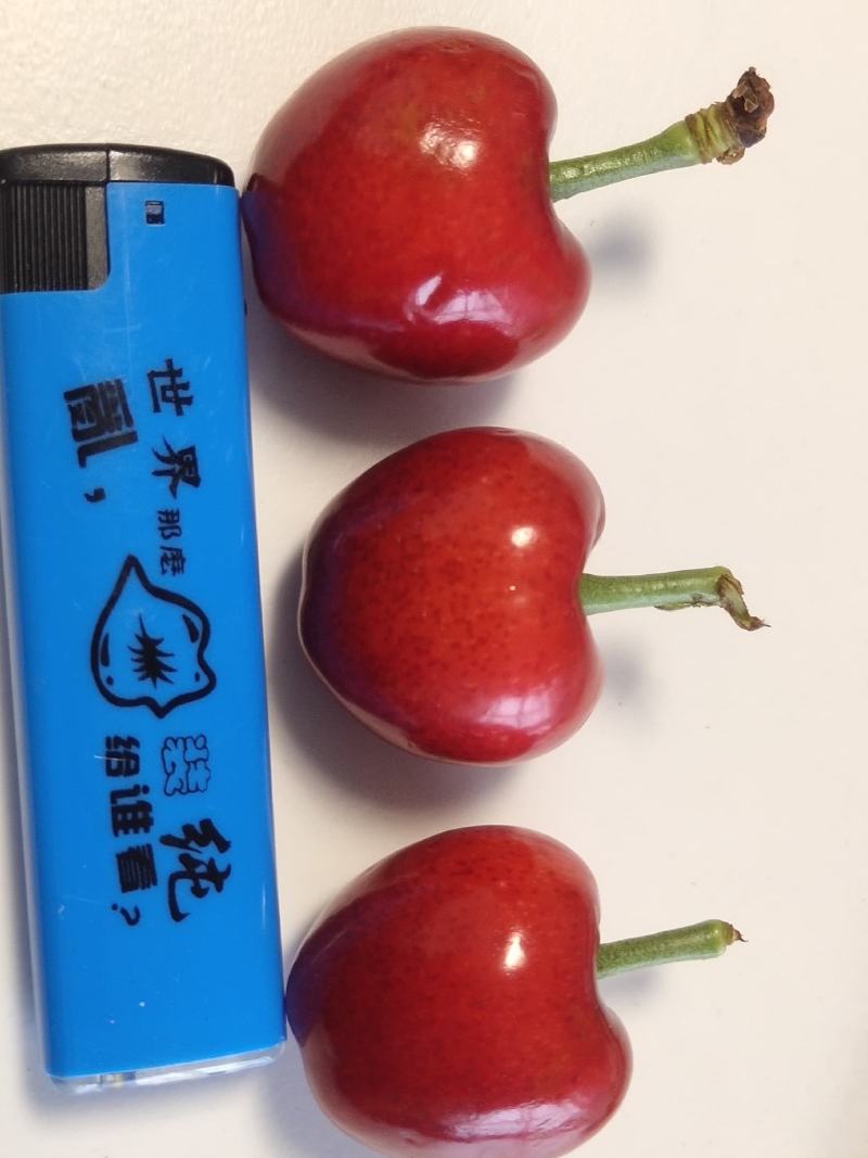 陕西澄城美早樱桃大量现货各种樱桃品种齐全基地直发
