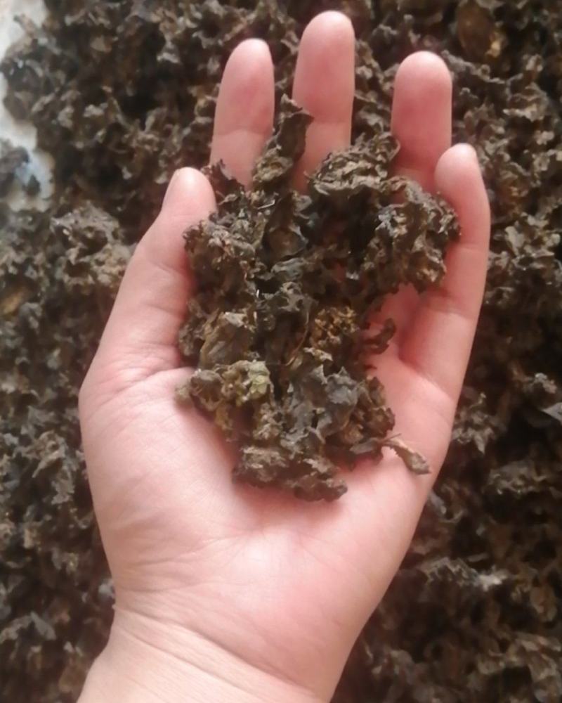 宁夏野生菌地皮菜，免洗地皮菜又称“地软”皮厚筋道。口感好