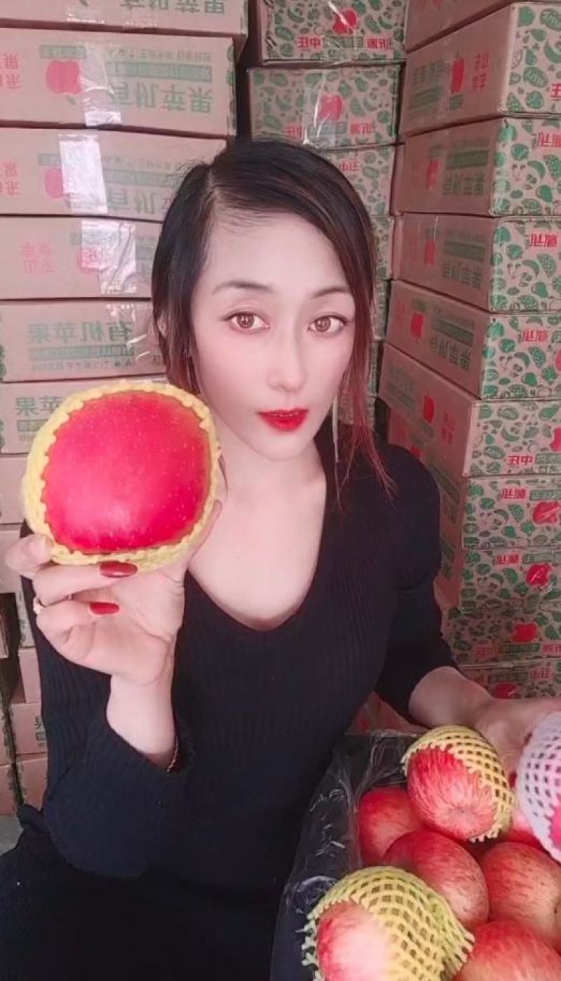 美八苹果80mm以上手选货产地一手货源质量杠杠滴