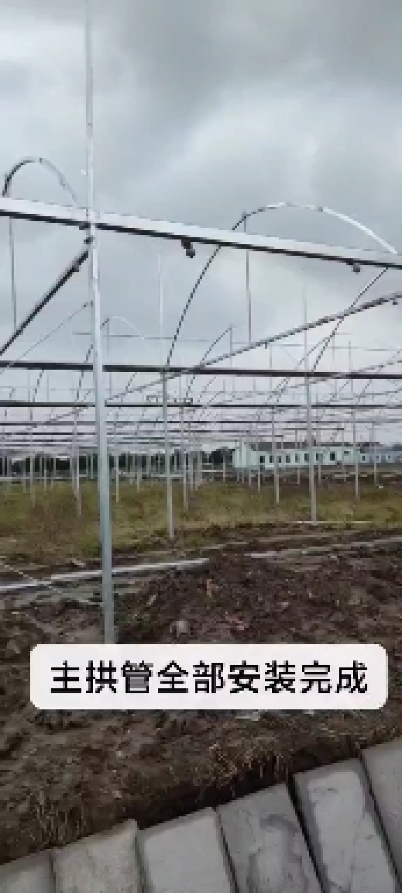 外遮阳连栋大棚花卉简易大棚温室连栋骨架棚薄膜蔬菜大棚养殖