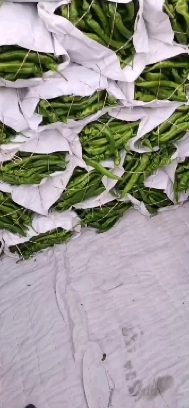 精品螺丝椒
