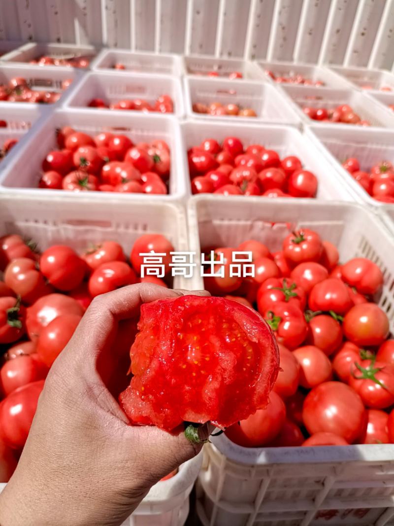 普罗旺斯西红柿，高品质，价格合理，专业一件代发