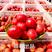 普罗旺斯西红柿，高品质，价格合理，专业一件代发