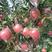 中秋王苹果，个头大，颜色红，口感脆甜，8月份上市