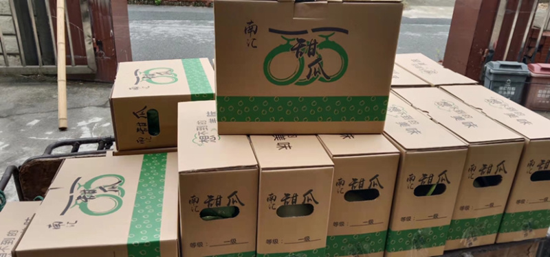 玉姑甜瓜
