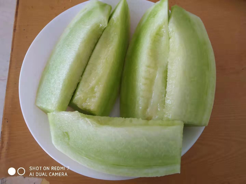 玉姑甜瓜