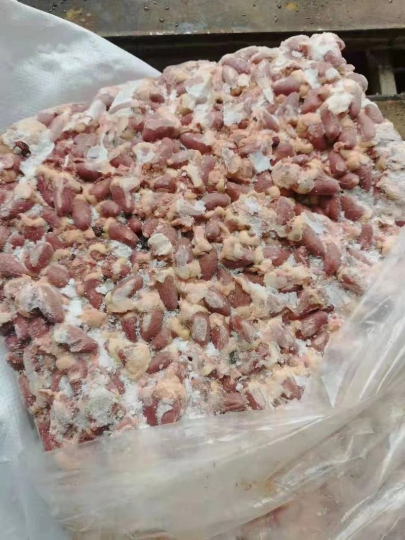 817鸡心有20多吨，厂家直接发货，价格合适
