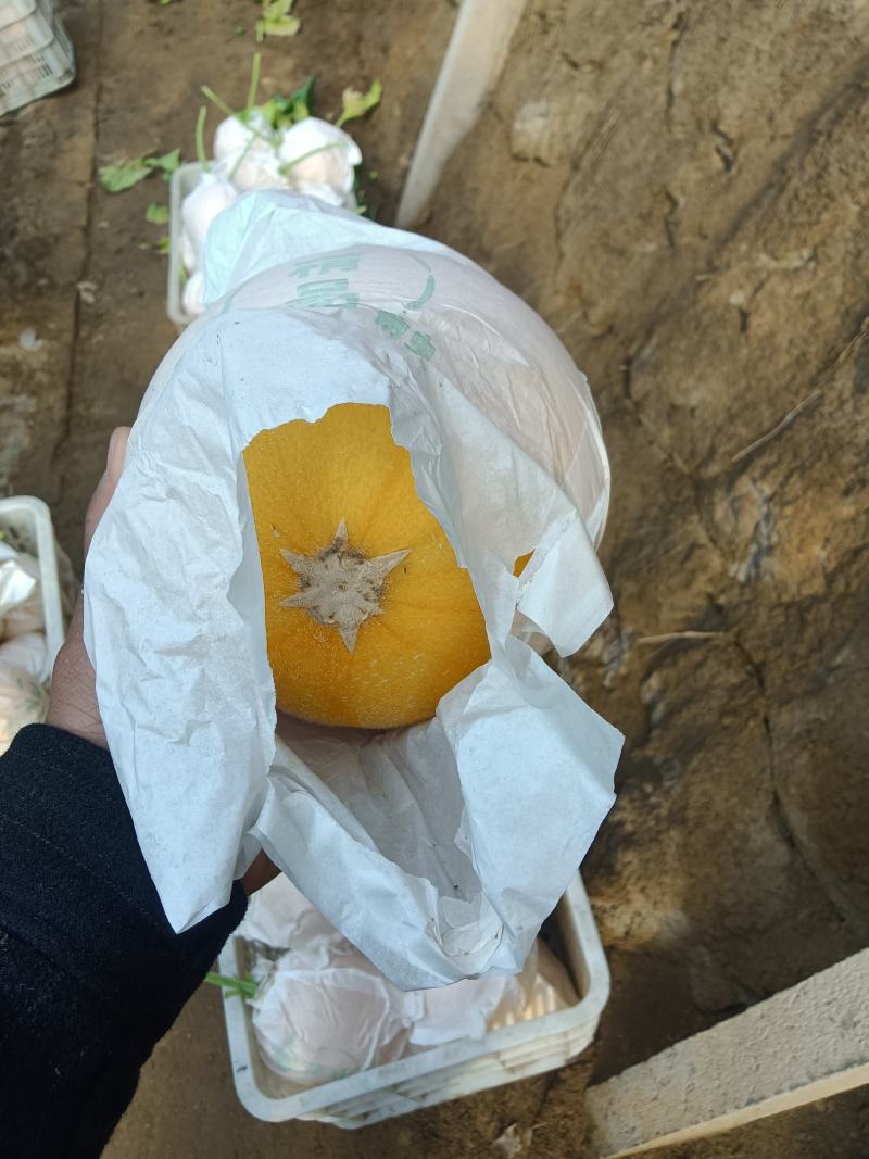 （基地直供）（热销）久红瑞通货，只要需要就能满足