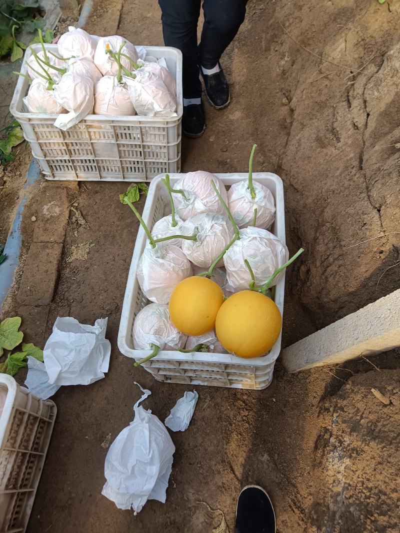 （基地直供）（热销）久红瑞通货，只要需要就能满足