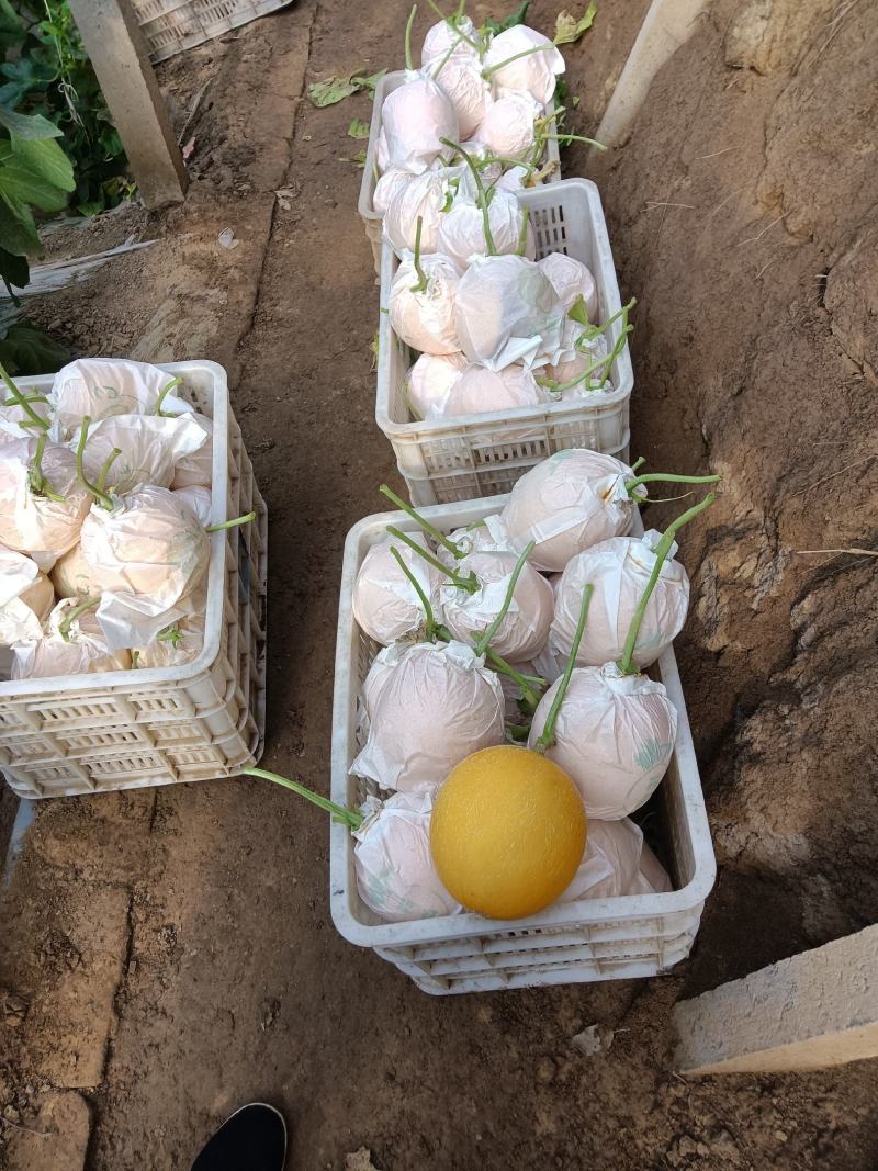 （基地直供）（热销）久红瑞通货，只要需要就能满足