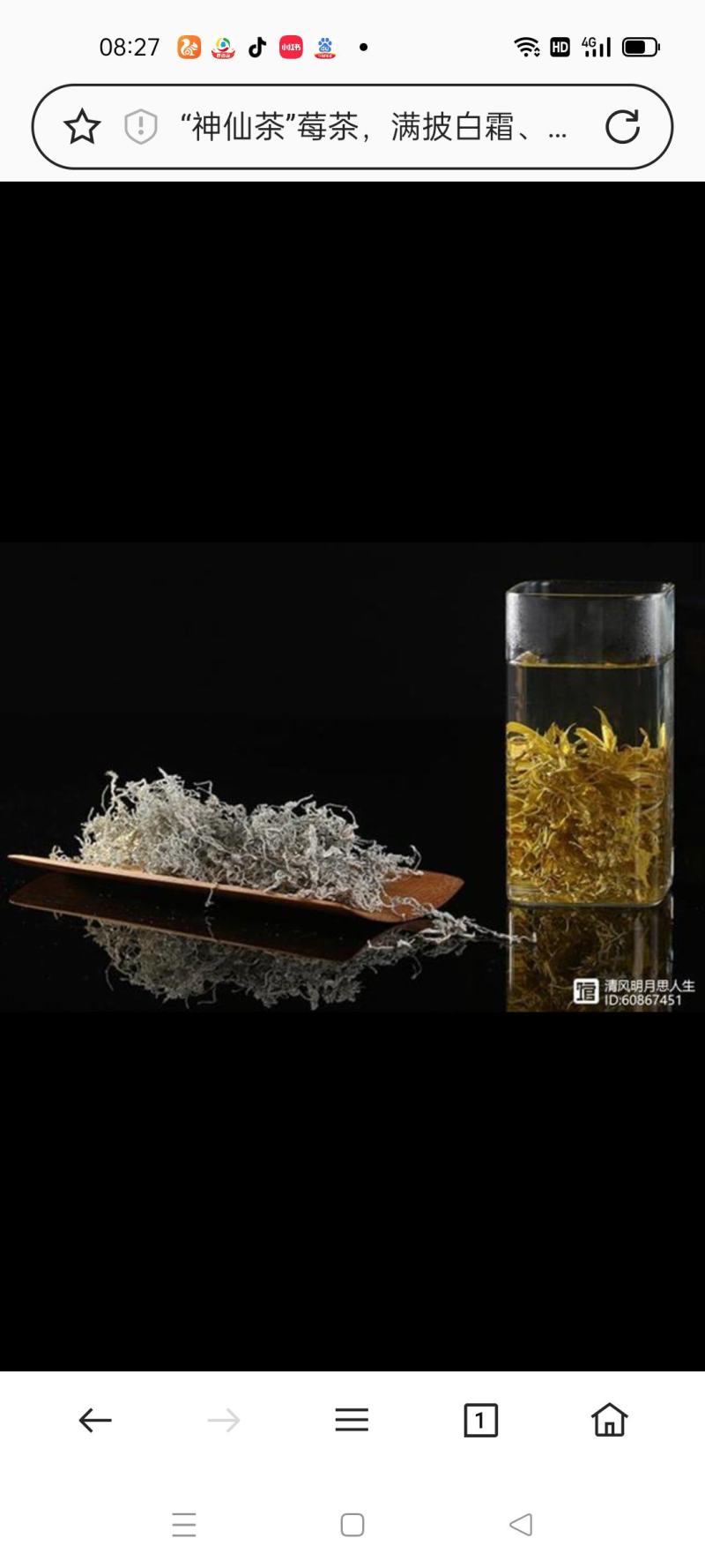 湖南张家界莓茶
