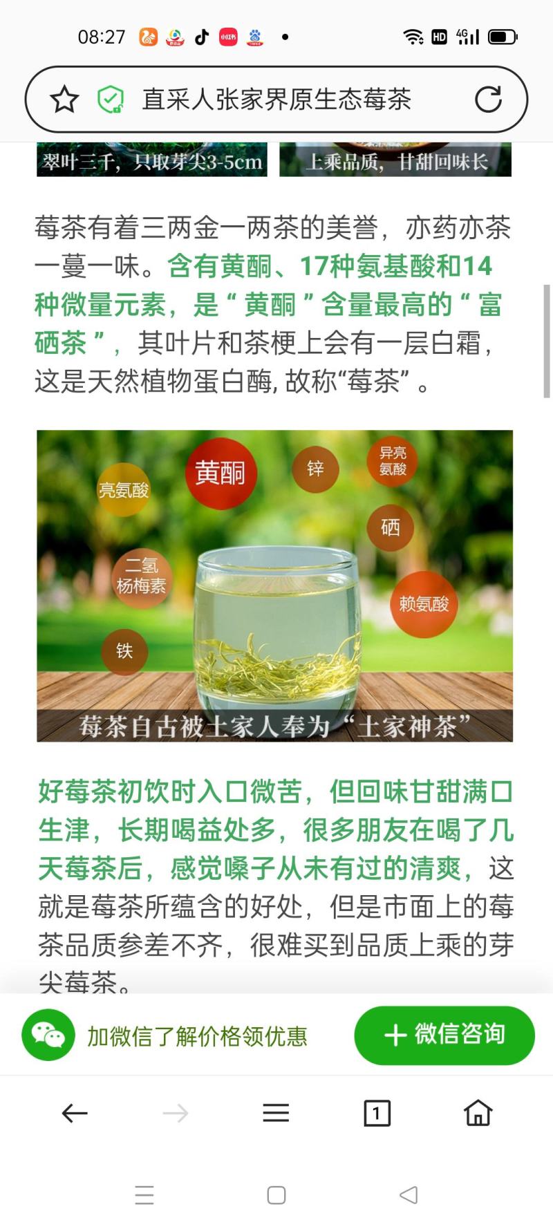 湖南张家界莓茶