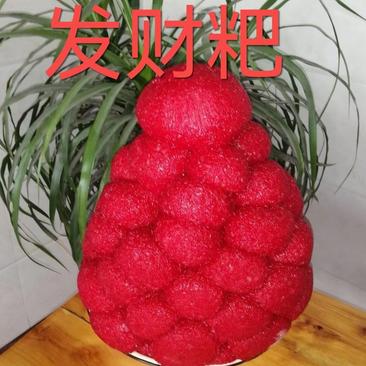 红粑粑发财粑红喜粑贵州特产手工糍粑年糕
