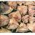 北海特产石斑鱼干咸鱼海鲜自晒干货新品腌制海捕海产品整鱼批