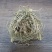 水蜈蚣干货农副产品不满意可退换货