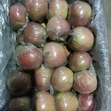 产地直发，本地膜代富士，口感脆甜，质量好货源充足。