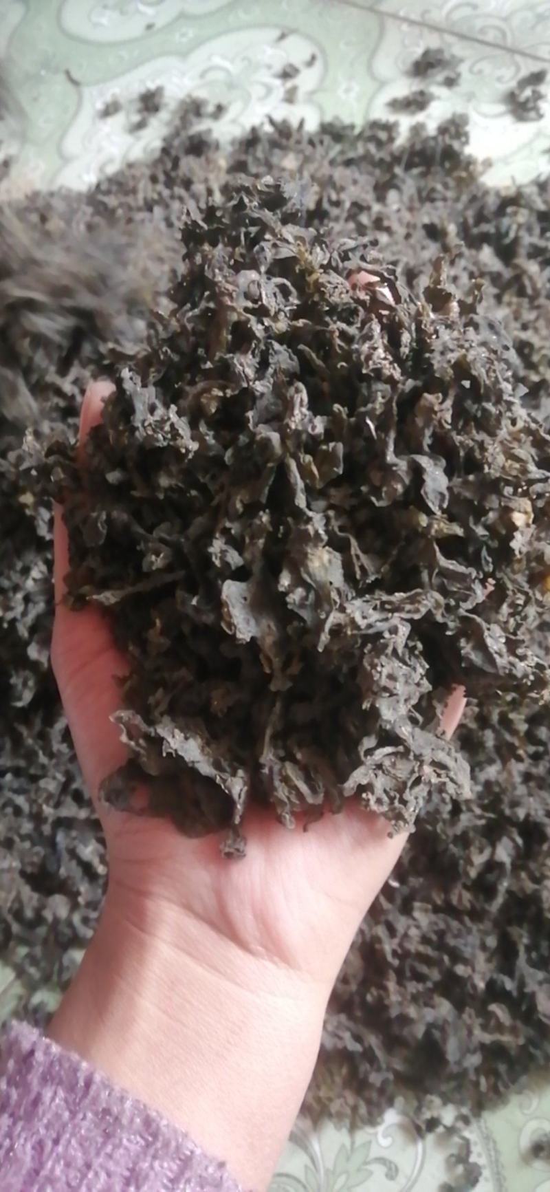 宁夏野生菌地皮菜，免洗地皮菜又称“地软”皮厚筋道。口感好