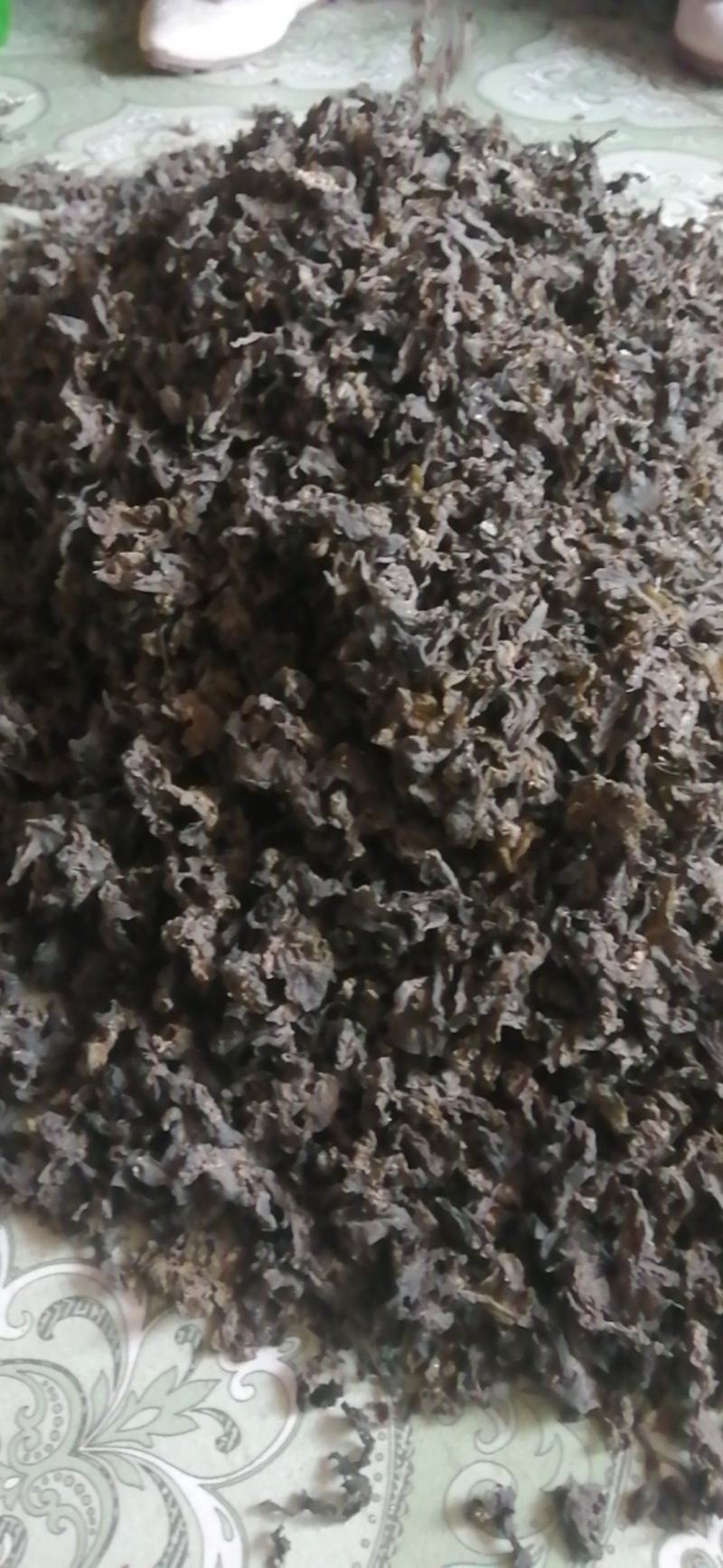 宁夏野生菌地皮菜，免洗地皮菜又称“地软”皮厚筋道。口感好