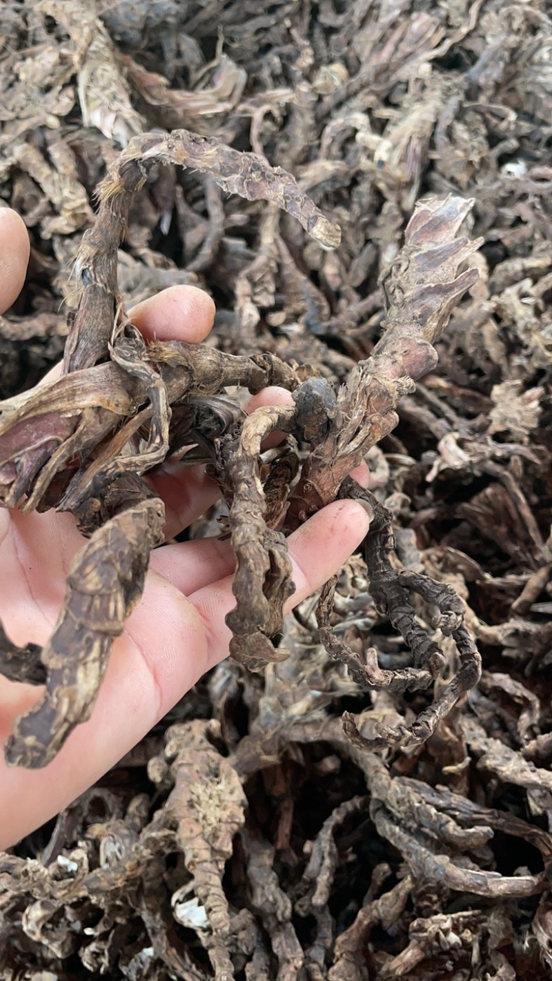 野生石菖蒲山菖蒲药菖蒲九节蒲叶水剑草药新鲜干货。