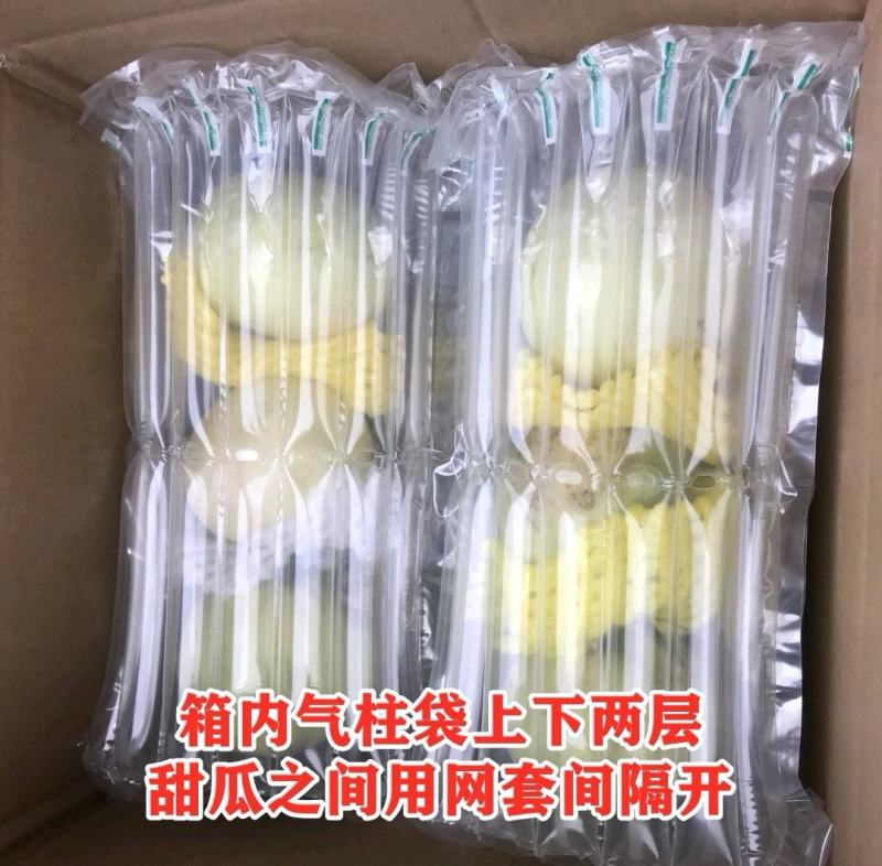 【电商批量代发】马连庄蜂蜜甜瓜一件代发香甜暴汁产地供应链