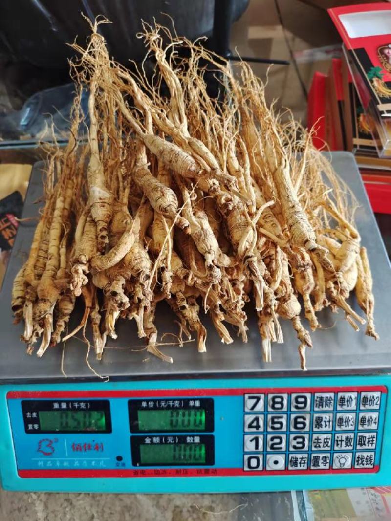 林下籽，高年头林下参吃货，仅次于野山参，半斤起售