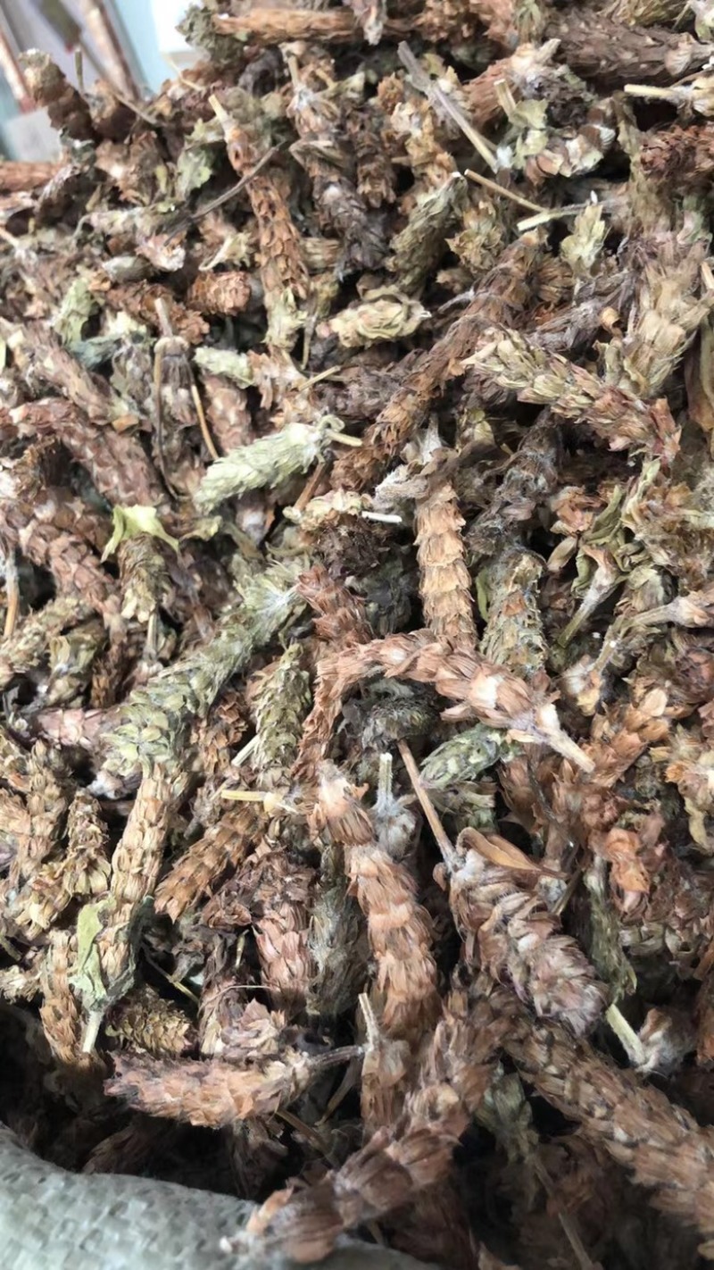 中药材夏枯球牛抵头夏枯花枯草穗夏枯穗