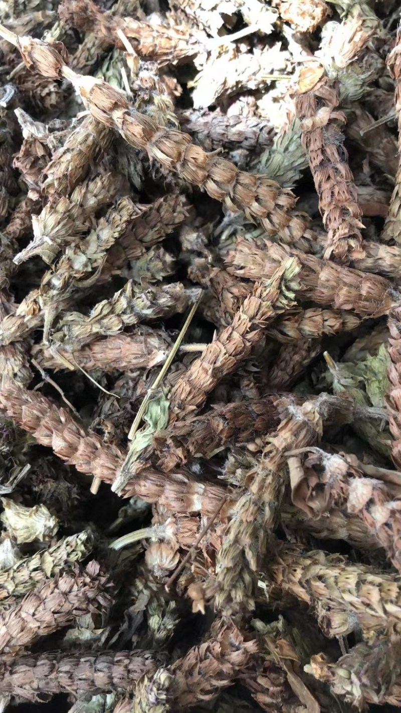 中药材夏枯球牛抵头夏枯花枯草穗夏枯穗