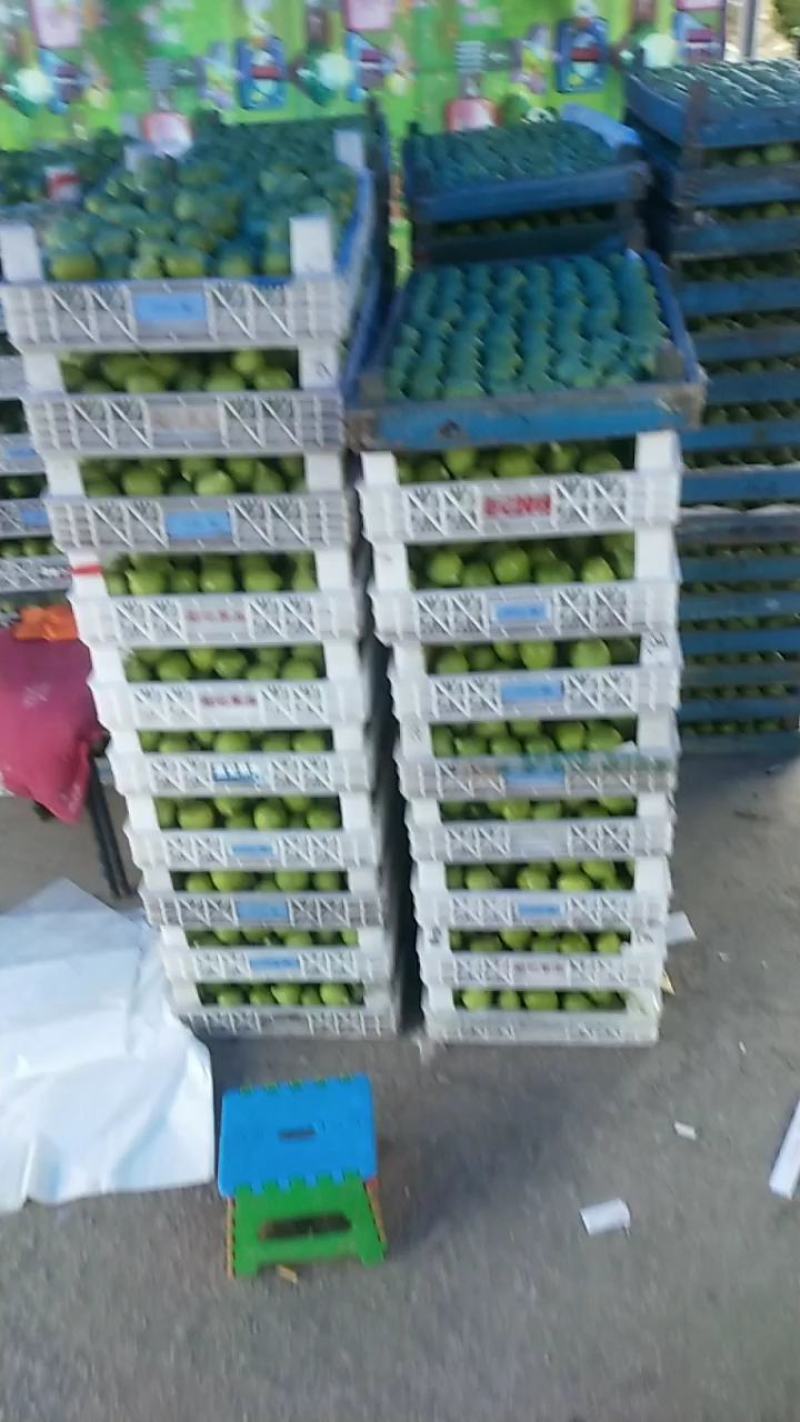 青皮无花果2025年鲜冻果优质果