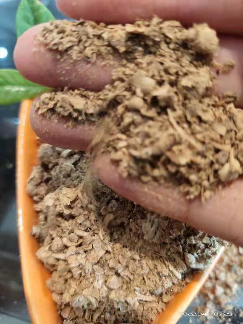 金针菇颗粒，金针菇粉碎颗粒，下脚料！！！