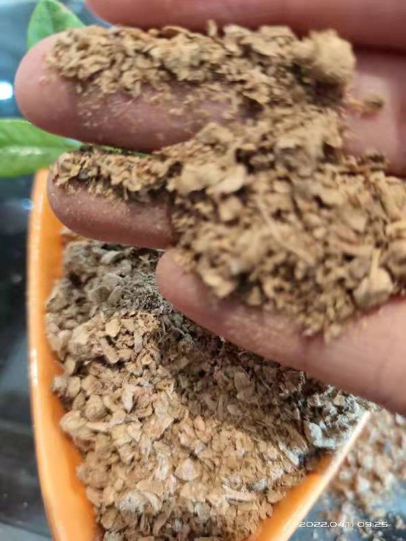 金针菇颗粒，金针菇粉碎颗粒，下脚料！！！