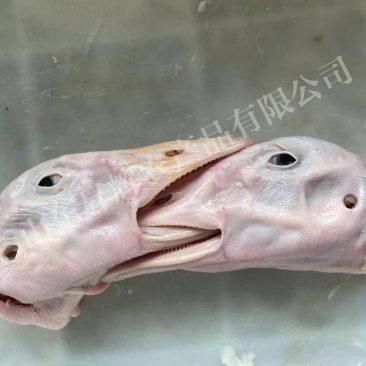 鹅头价格，鹅头厂家直供，鹅头批发