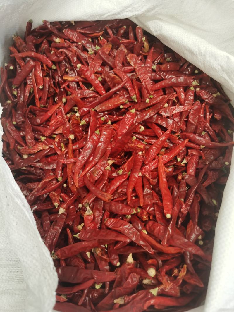 山东特产三英椒，高辣829干度质量精品货