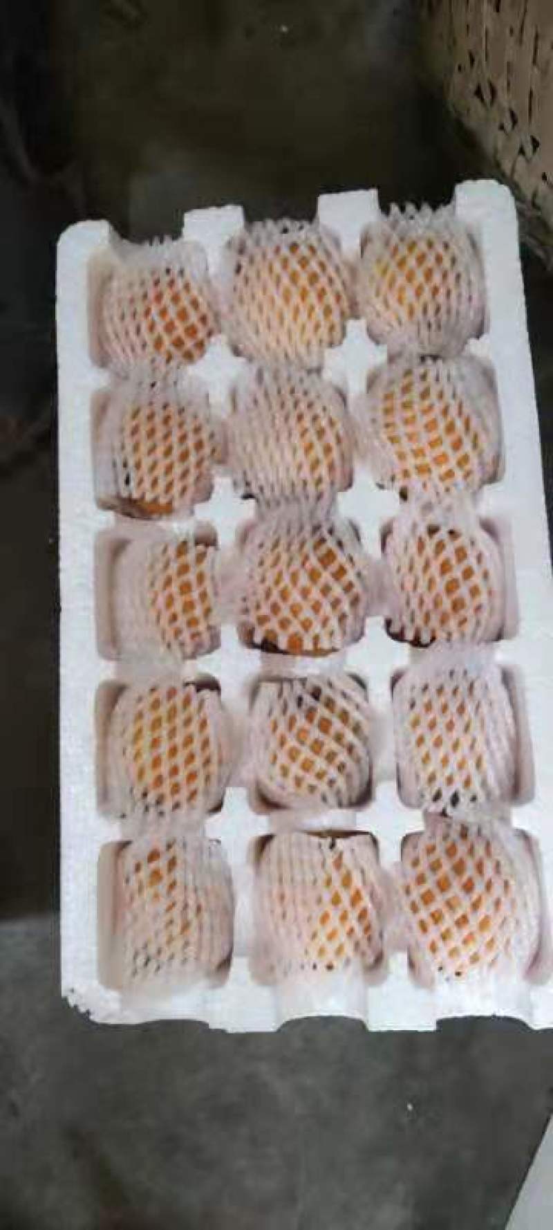 枇杷