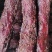 里脊大块肉麻辣大长条五香里脊肉牛肉味大块肉批发