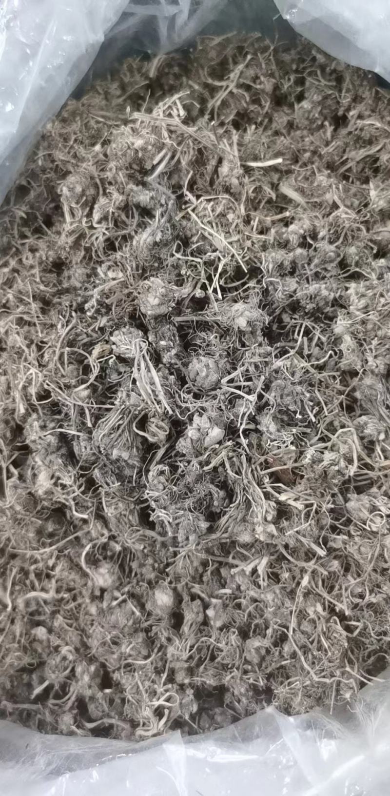野生猫爪草，一手货源，产地直供，欢迎进店选购