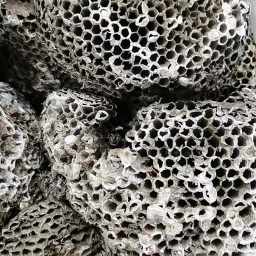 蜂房，无虫蛀过药检量大从优，质量有保证，欢迎客商电话咨询