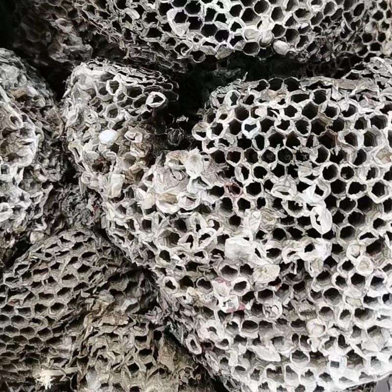 蜂房，无虫蛀过药检量大从优，质量有保证，欢迎客商电话咨询