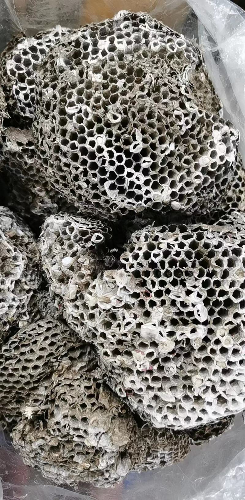 蜂房，无虫蛀过药检量大从优，质量有保证，欢迎客商电话咨询