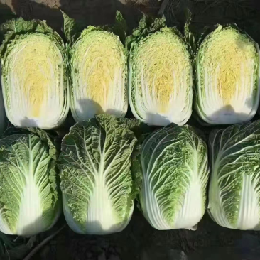 黄心大白菜，大量有货，批发正个世界，只要你需要，就