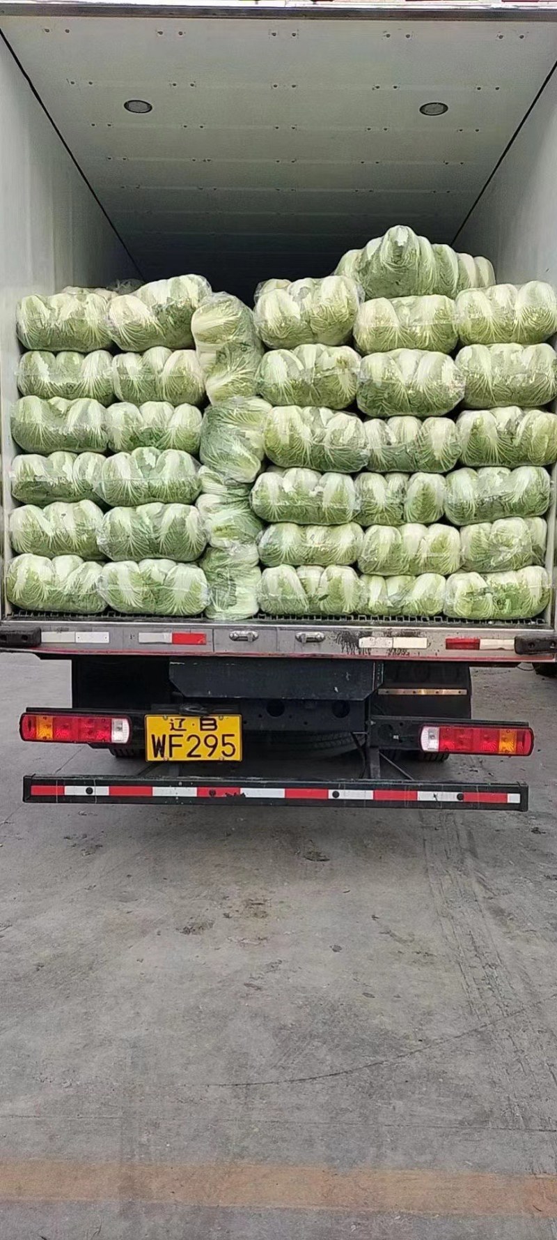 黄心大白菜，大量有货，批发正个世界，只要你需要，就