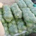 河北精品圆包菜精选甘蓝量大价优保质保量欢迎考察