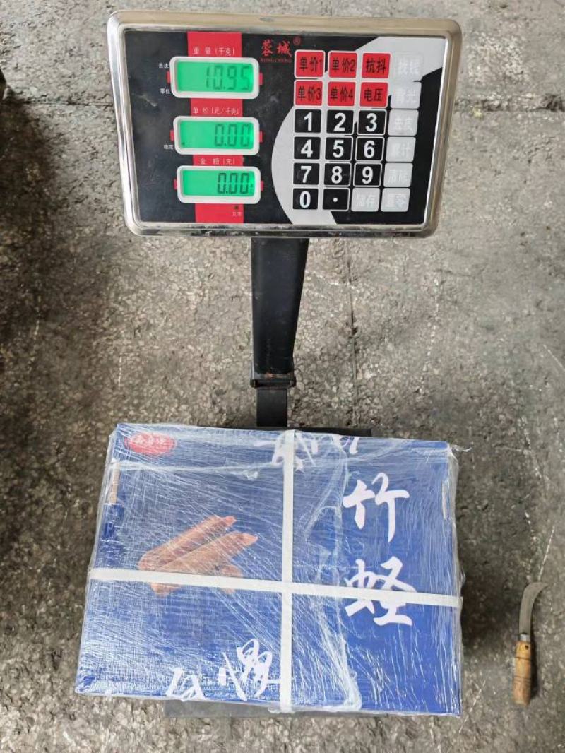 竹蛏活冻竹蛏蛏子圣子王