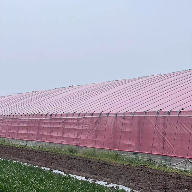 黑色遮阳网防晒网加密加厚家用大棚农用遮阴网隔热遮阳防晒网