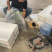 苏北淡水抗病毒草鱼苗，1500基地，可实地考察，欢迎咨询