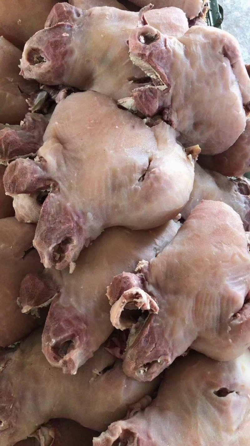 全熟原味牛头带带大小脸保证质量，适合餐饮，烤牛头，商超！