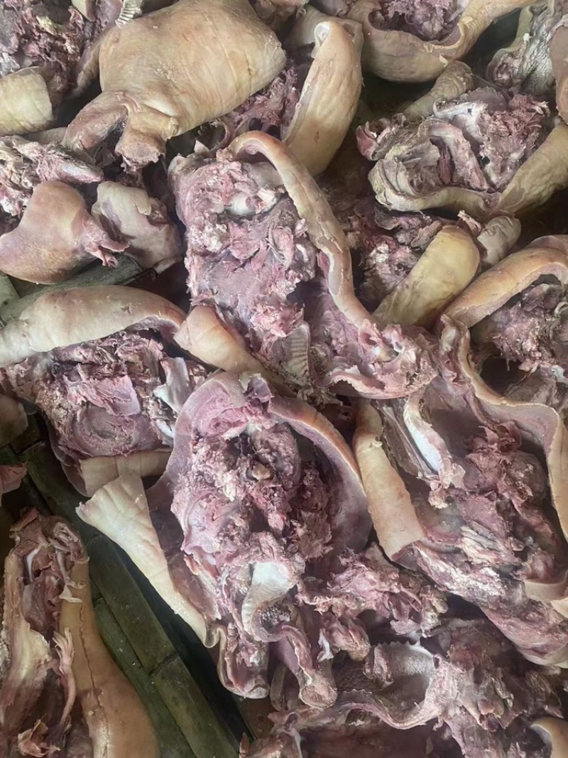全熟原味牛头带带大小脸保证质量，适合餐饮，烤牛头，商超！