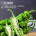 新鲜辣椒薄皮螺丝椒大量上市万亩辣椒基地