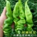 新鲜辣椒薄皮螺丝椒大量上市万亩辣椒基地